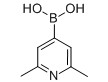 2,6-Dimethyl-pyridine-4-boronic acid,846548-44-5