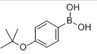 4-tert-Butylphenylboronic acid,176672-49-4 
