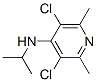 CAS 959265-75-9, 4-Pyridinamine,  3,5-dichloro-2,6-dimethyl- 