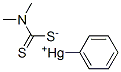 CAS 32407-99-1, phenylmercury dimethyldithiocarbamate 