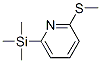CAS 199273-59-1, Pyridine, 2-(methylthio)-6-(trimethylsilyl)